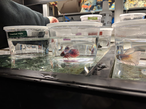 Pet Supply Store «Petco Animal Supplies», reviews and photos, 1111 US-46, Parsippany, NJ 07054, USA