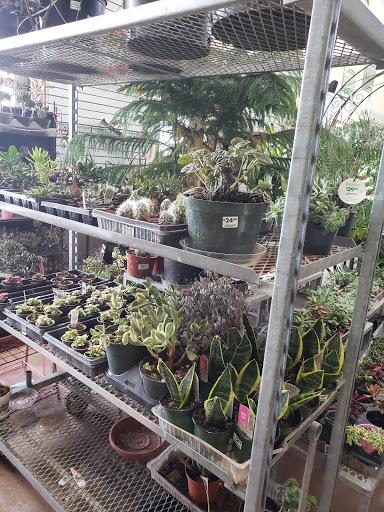 Cobblestone Garden Centre