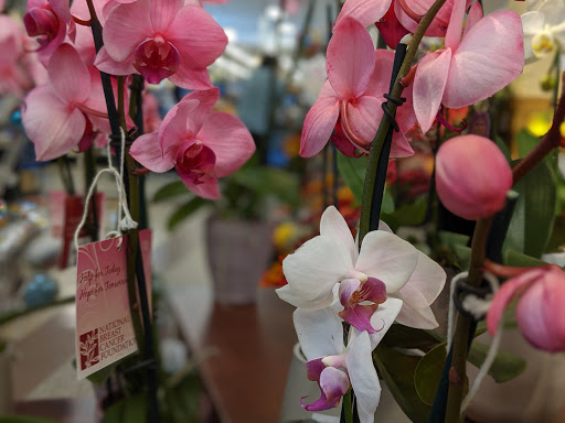 Grocery Store «Kroger», reviews and photos, 7467 St Andrews Rd #6, Irmo, SC 29063, USA