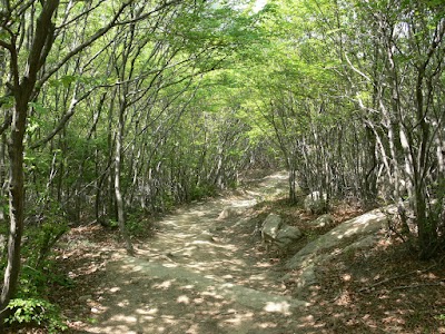 Photos of 호룡곡산