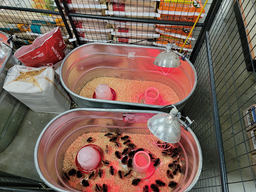 Home Improvement Store «Tractor Supply Co.», reviews and photos, 5940 New Jesup Hwy, Brunswick, GA 31523, USA