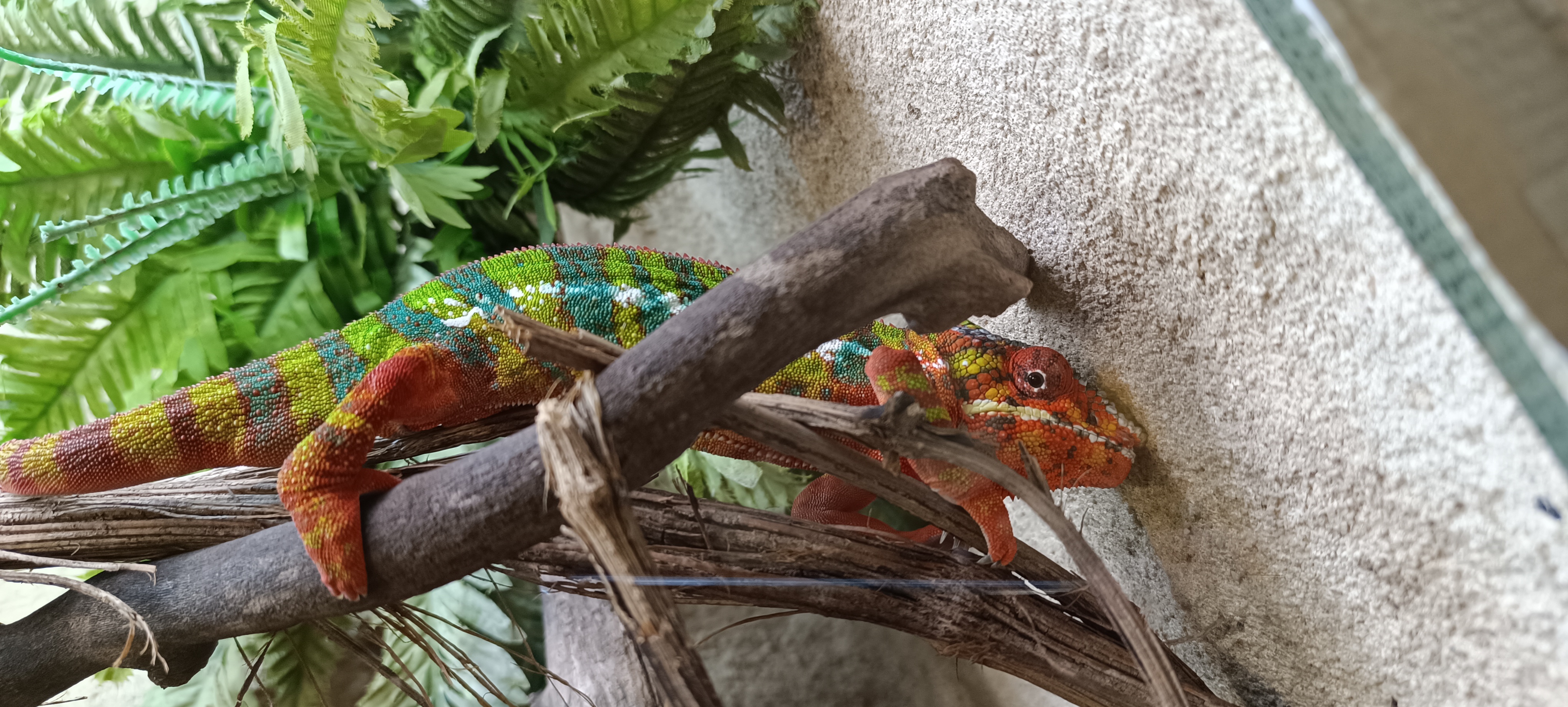 Photo n° 4 de l'avis de Myo.o fait le 17/07/2023 à 17:56