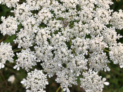 Fabric Store «Jo-Ann Fabrics and Crafts», reviews and photos, 380 Market Dr, Elyria, OH 44035, USA