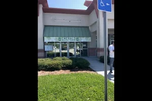 Emerald Medical Center - Medical Marijuana Card Doctors Fort Myers image