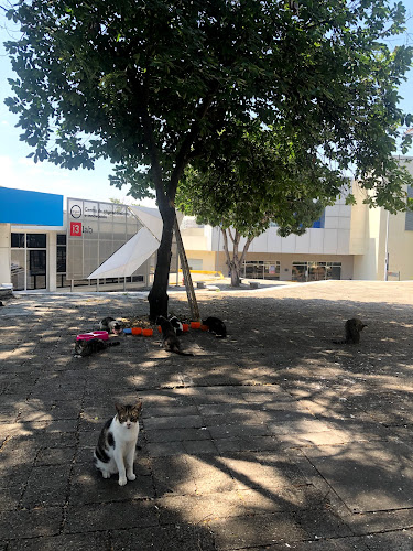 Comentarii opinii despre I3LAB ESPOL, Centro de Emprendimiento e Innovación