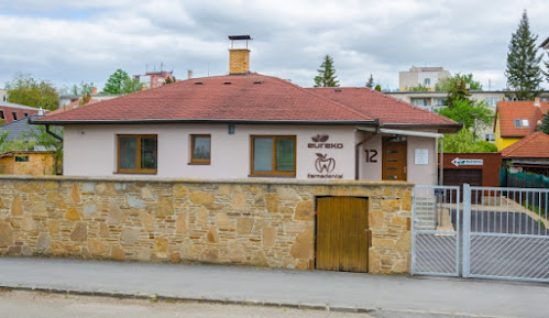 CARNA Dental - CARNA Dental