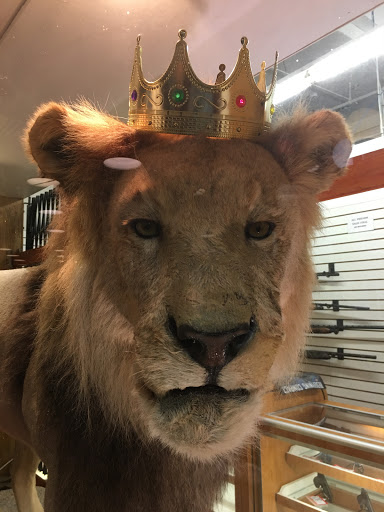 Pawn Shop «Springfield Pawn King», reviews and photos, 107 W Cook St, Springfield, IL 62704, USA