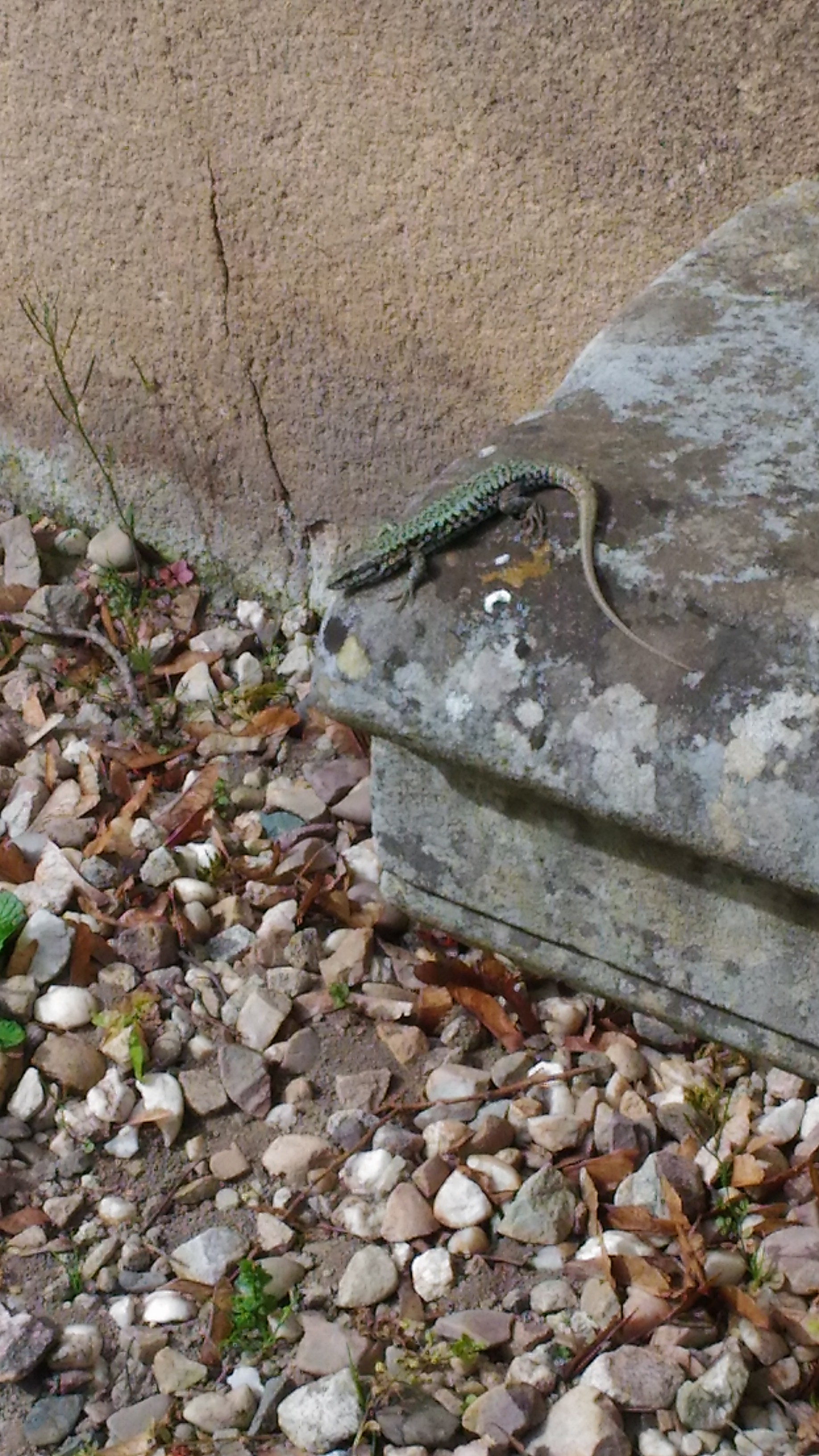 Photo n° 1 de l'avis de Chrystelle.e fait le 21/04/2019 à 16:16