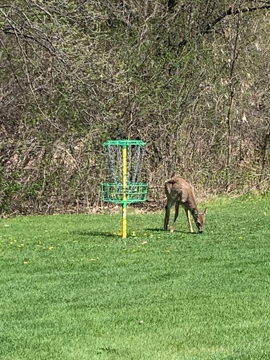 Golf Course «Theodore Wirth Golf Course», reviews and photos, 1301 Theodore Wirth Pkwy, Minneapolis, MN 55422, USA