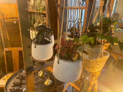 Home Goods Store «Chartreuse & co», reviews and photos, 4007 Buckeystown Pike, Frederick, MD 21704, USA