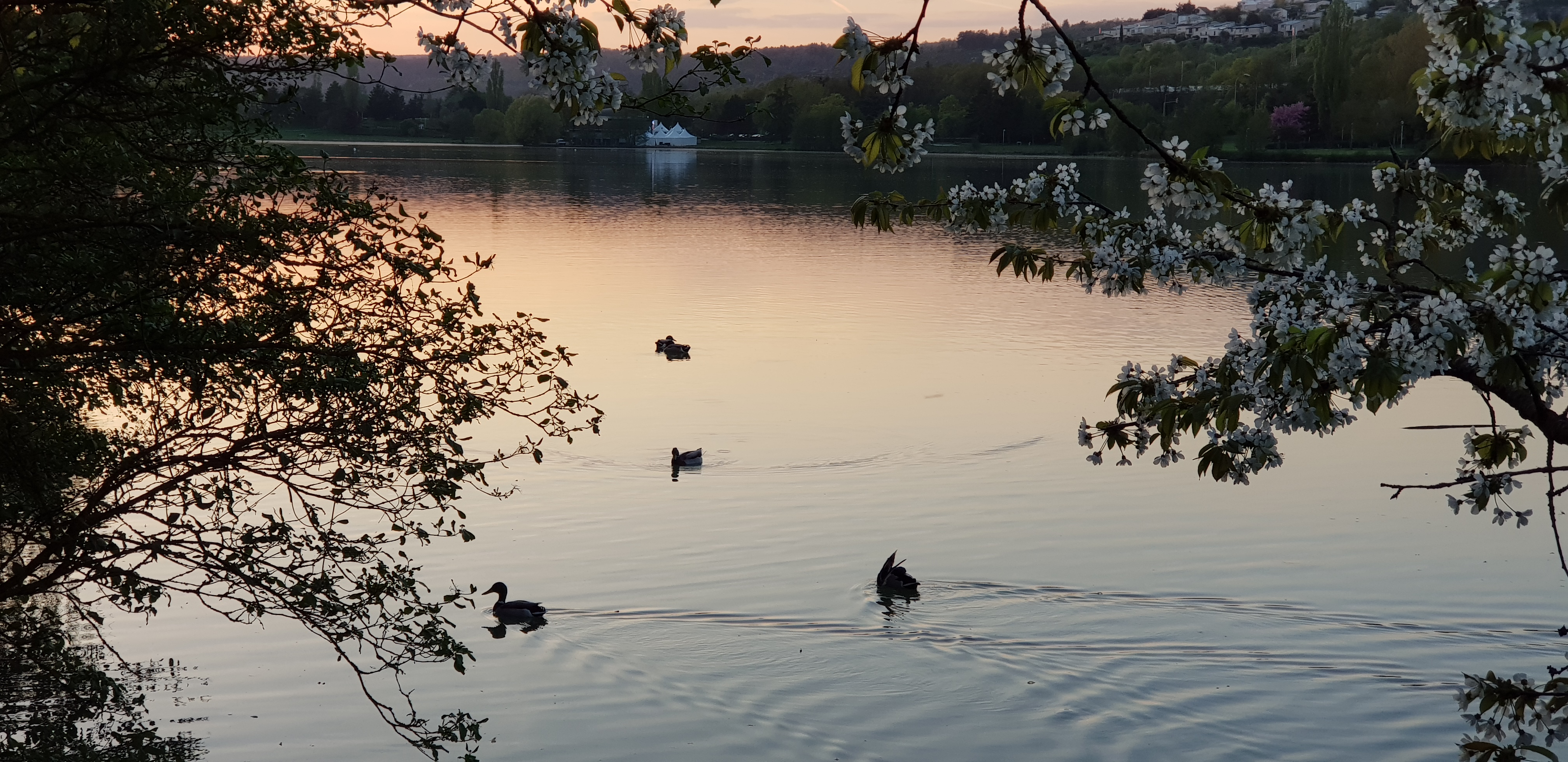 Photo n° 2 de l'avis de Frédérique.a fait le 04/05/2018 à 10:38