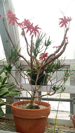 Heritage Museum «Hillwood Estate, Museum & Gardens», reviews and photos, 4155 Linnean Ave NW, Washington, DC 20008, USA