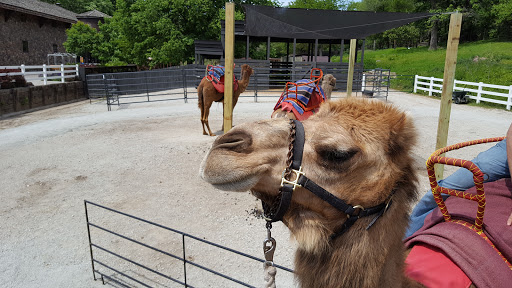 Foundation «The Henry Doorly Zoo», reviews and photos, 3701 S 10th St, Omaha, NE 68107, USA