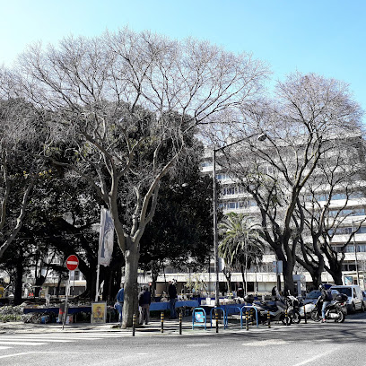 Feira de Alfarrabistas no Jardim Constantino