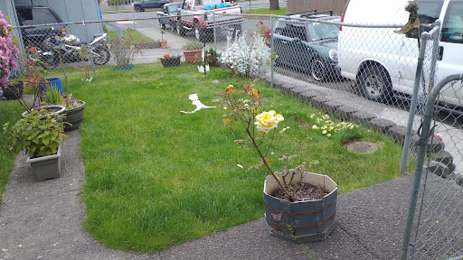 Surf Shop «Cleanline Surf», reviews and photos, 60 N Roosevelt Dr, Seaside, OR 97138, USA