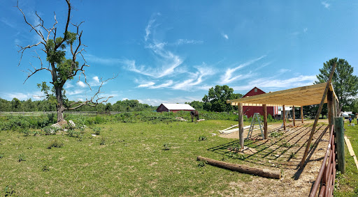 Produce Market «Richards Fruit Market», reviews and photos, 6410 Middle Rd, Middletown, VA 22645, USA