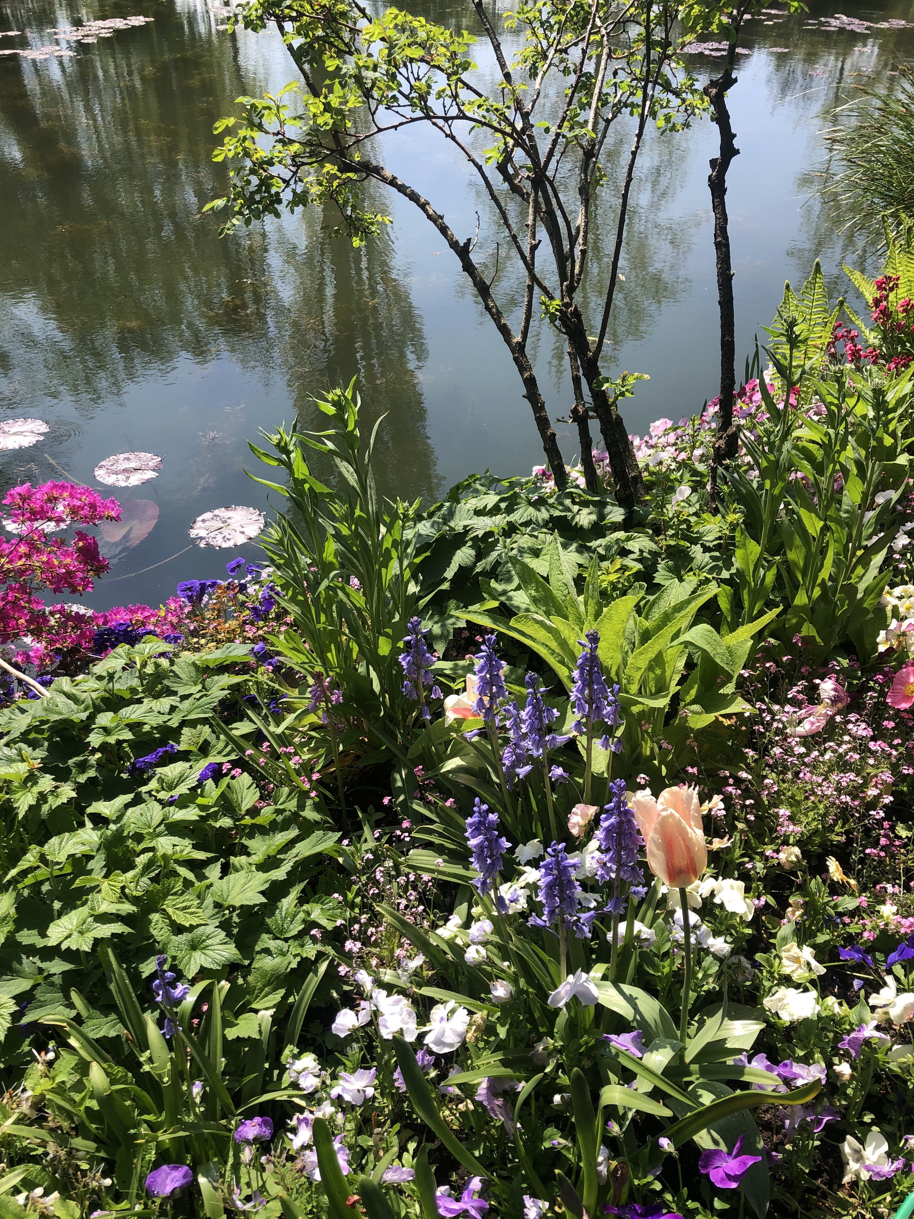 Photo n° 3 de l'avis de Maryam. fait le 23/04/2023 à 21:03