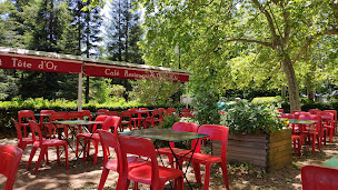 Photo n°40 de Café Restaurant Tête d'Or à Lyon ()