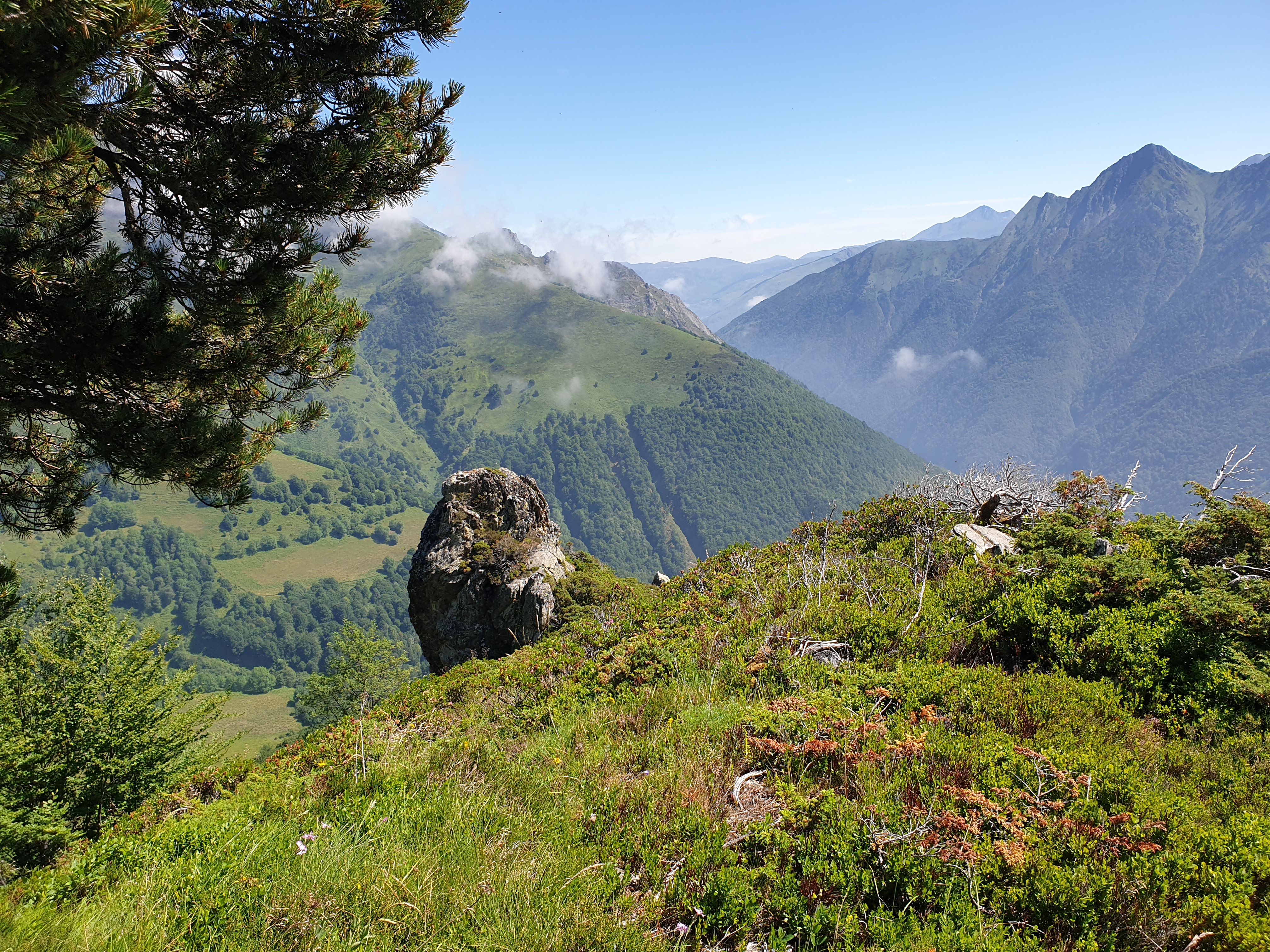 Photo n° 7 de l'avis de Eric.u fait le 17/07/2019 à 14:28