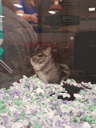 Pet Supply Store «PetSmart», reviews and photos, 2100 88th St, North Bergen, NJ 07047, USA