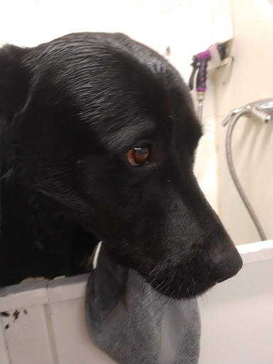 Blue Sky Pet & Feed Supply