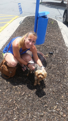 Pet Supply Store «PetSmart», reviews and photos, 1020 Market Pl Blvd, Cumming, GA 30041, USA