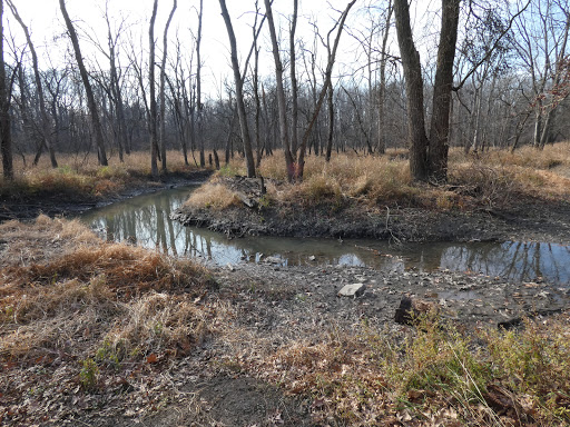 Nature Preserve «Jurgensen Woods Nature Preserve», reviews and photos, 183rd St, Lansing, IL 60438, USA