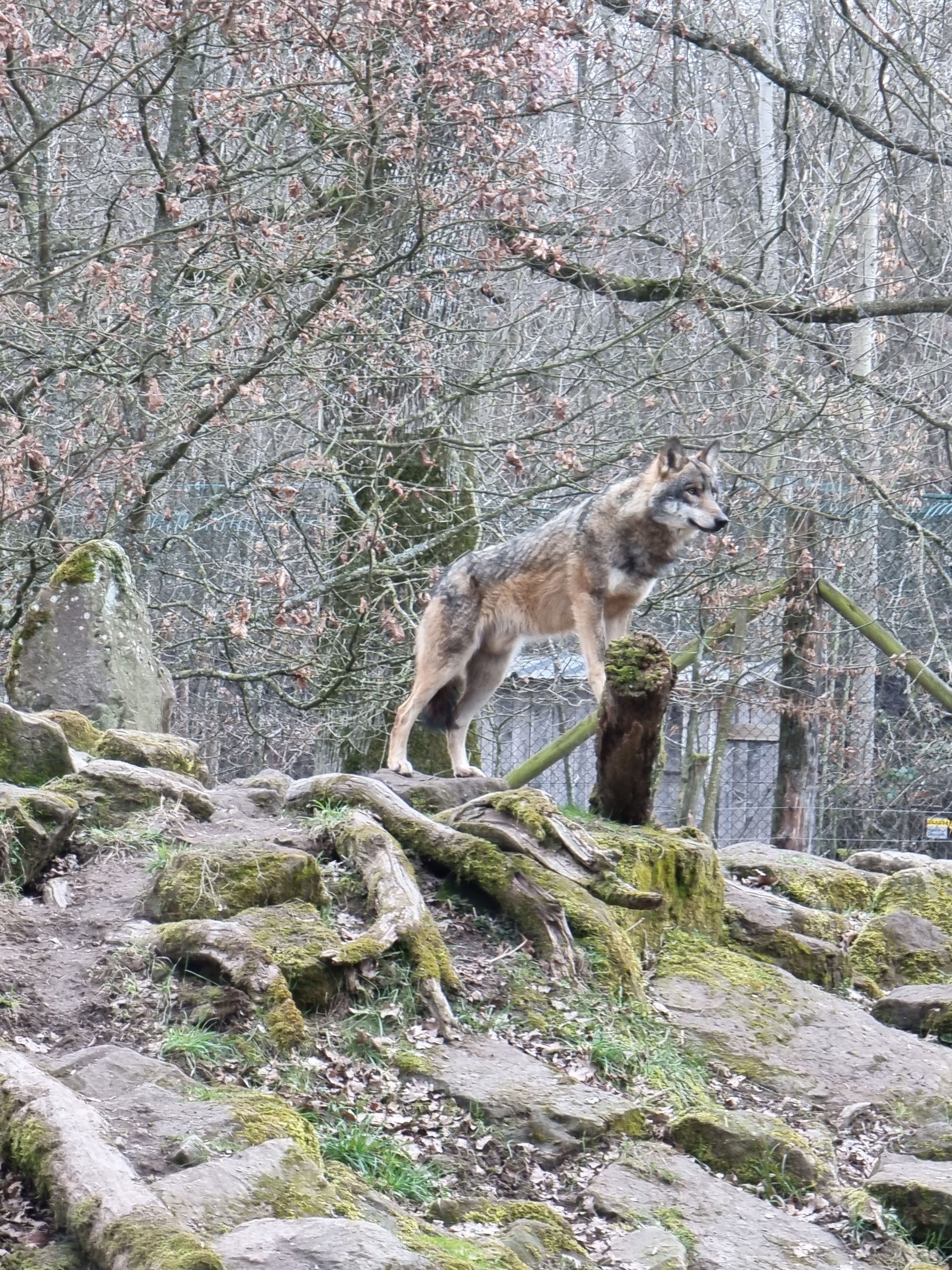 Photo n° 21 de l'avis de percque.a fait le 12/03/2023 à 16:11