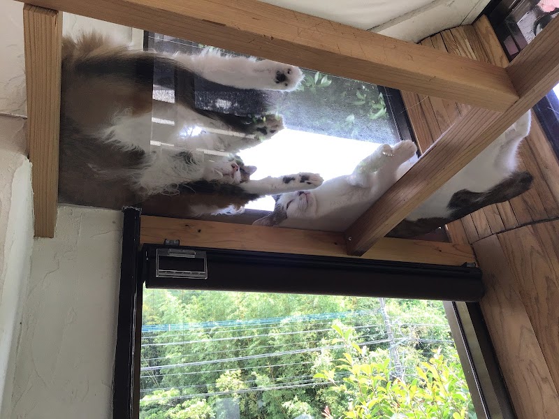 猫カフェうたたね 宮崎県宮崎市北川内町野間口 カフェ グルコミ