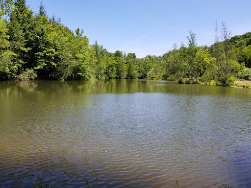 Gift Shop «Stonehedge Gardens», reviews and photos, 51 Dairy Rd, Tamaqua, PA 18252, USA