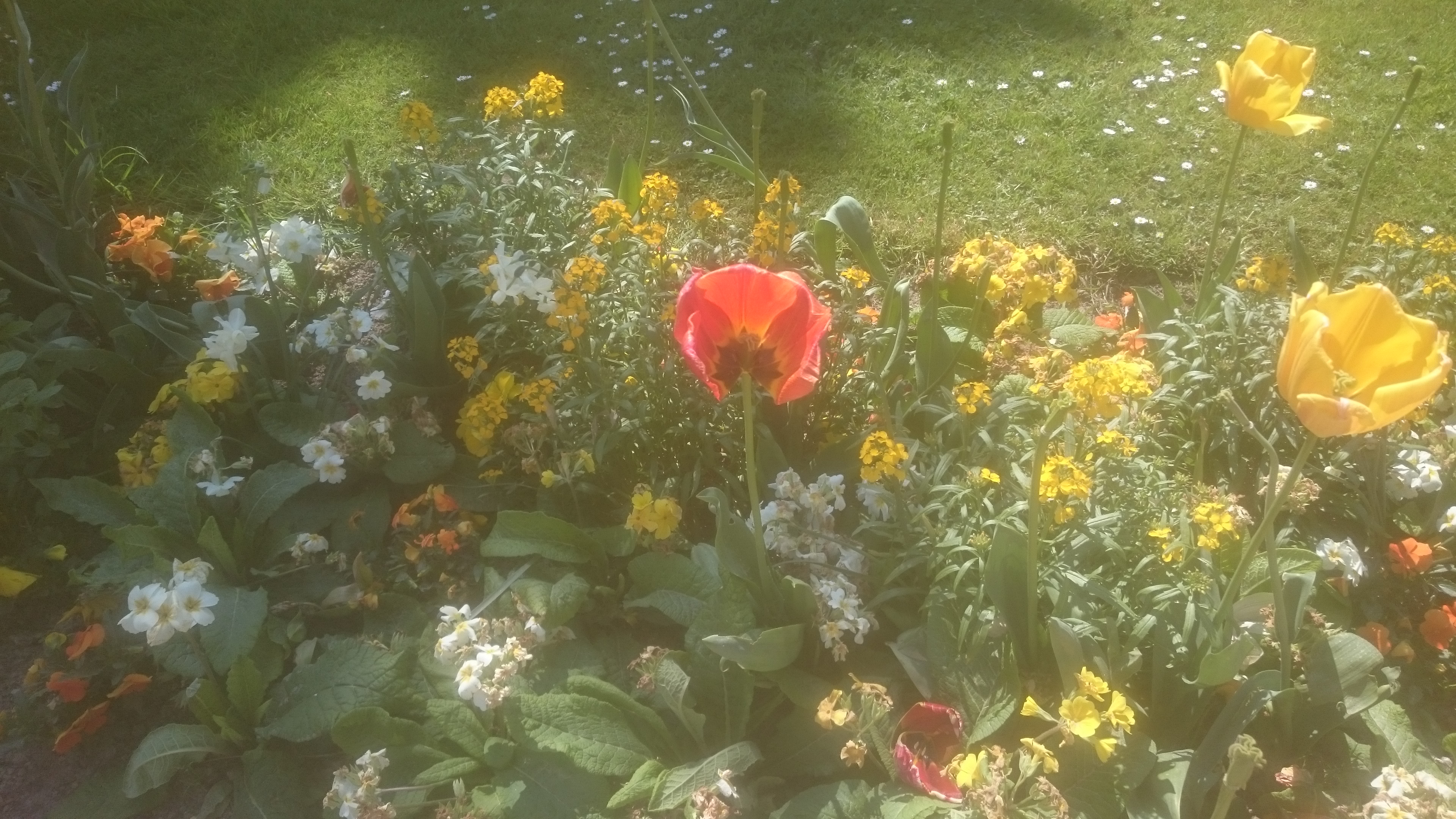 Photo n° 1 de l'avis de reault.l fait le 20/04/2019 à 20:28