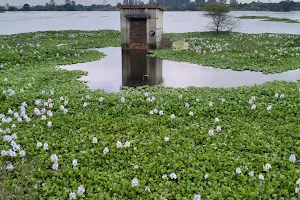 Chokkarasanapalli lake image
