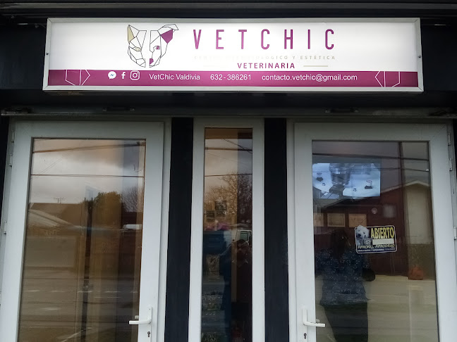 Opiniones de VetChic Valdivia en Valdivia - Veterinario