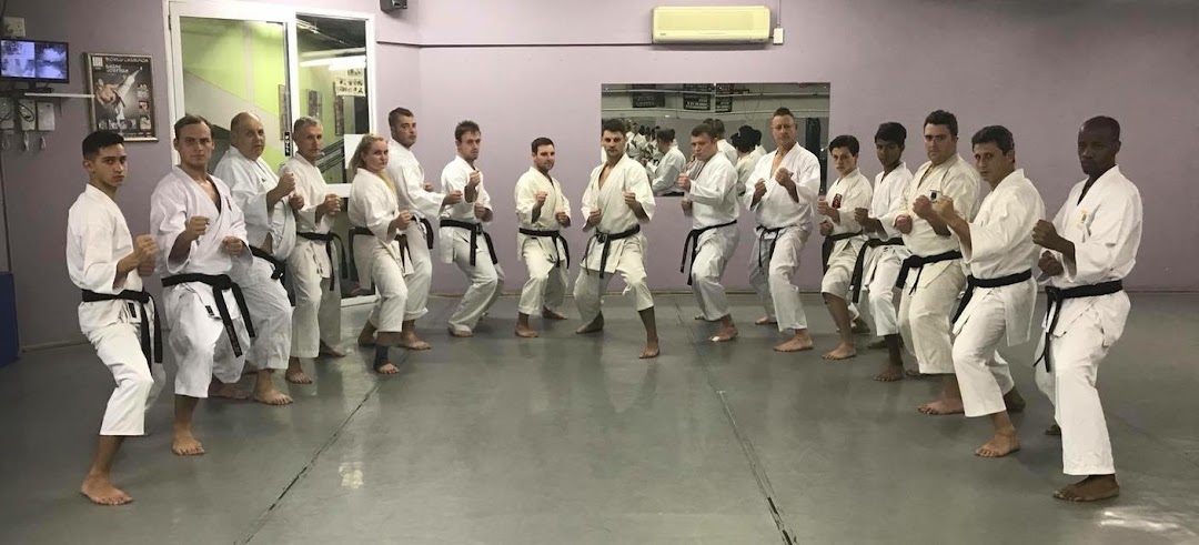 Shane Dorfman Karate