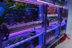 Aquaristik-Deals image