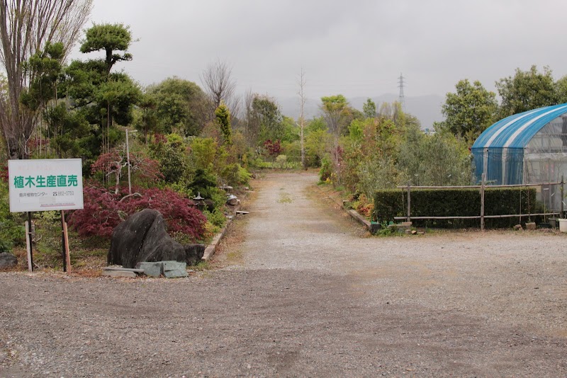 島井植物センター