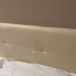 Photo n°4 de l'avis de Nichola.a fait le 25/06/2023 à 09:42 sur le  Hotel Il Giardino à Pisa