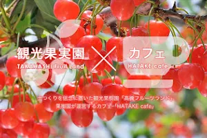 Takahashi Fruitland image