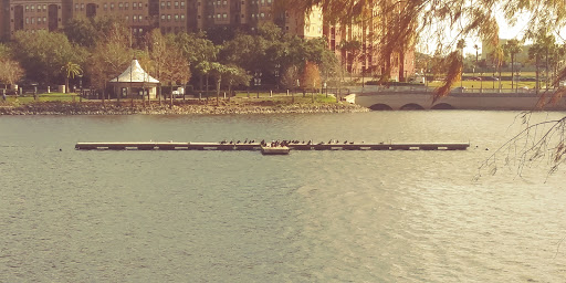 Park «Cranes Roost Park», reviews and photos, 274 Cranes Roost Blvd, Altamonte Springs, FL 32701, USA