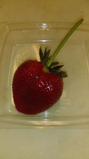 Supermarket «Weis Markets», reviews and photos, 210 H G Trueman Rd, Lusby, MD 20657, USA