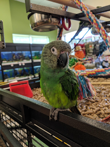 Pet Supply Store «Pet Supplies Plus», reviews and photos, 411 Commack Rd, Deer Park, NY 11729, USA