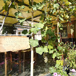 Photo n°1 de l'avis de Liliana.i fait le 04/09/2019 à 19:54 sur le  Pizzeria Valleogra Di Santacatterina Cristina à Torrebelvicino