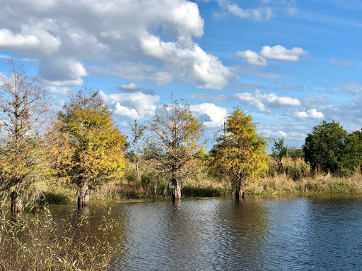 Nature Preserve «Duette Preserve», reviews and photos, 2649 Rawls Rd, Parrish, FL 34219, USA