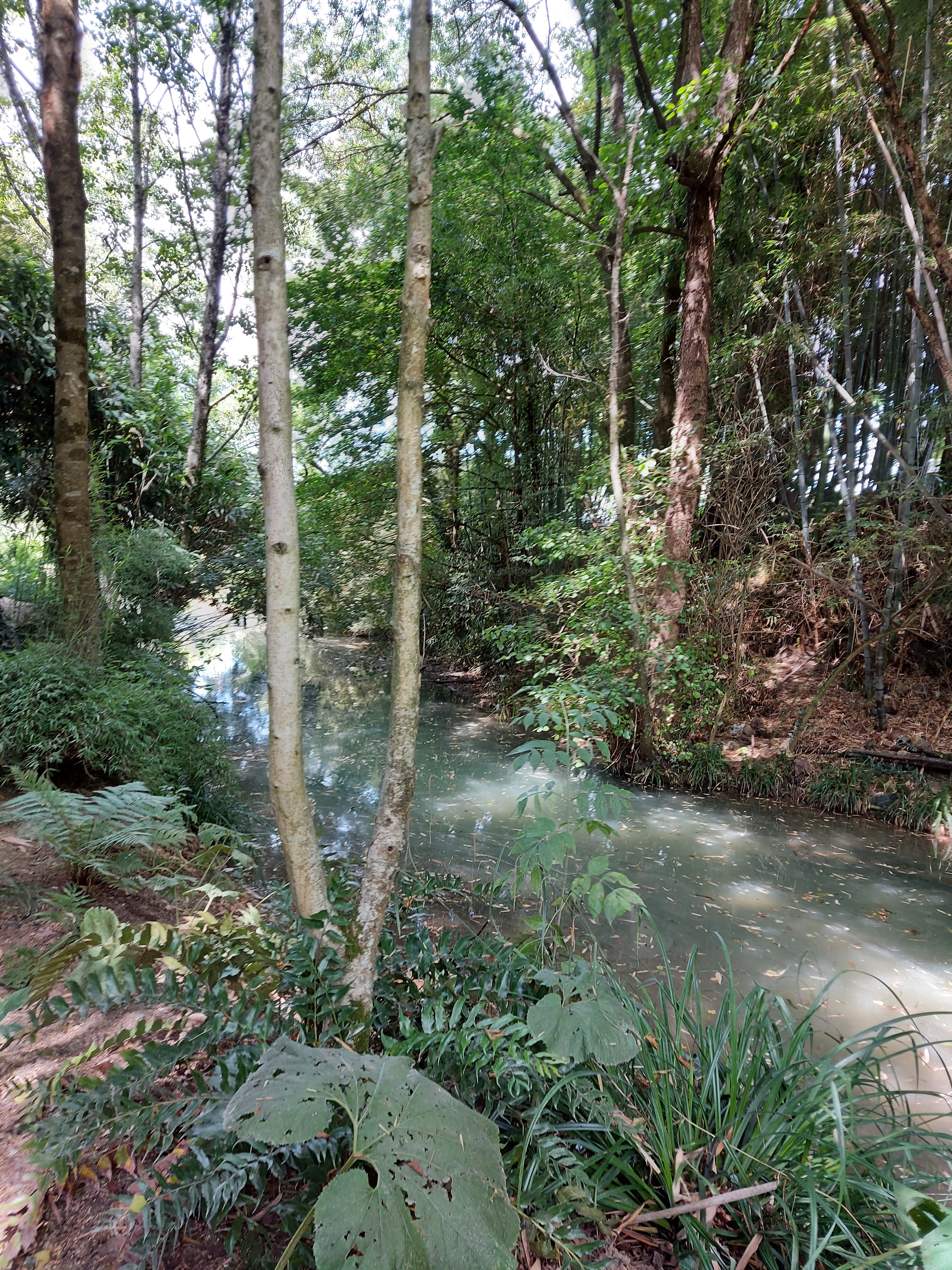 Photo n° 4 de l'avis de Brigitte.o fait le 02/09/2021 à 08:01