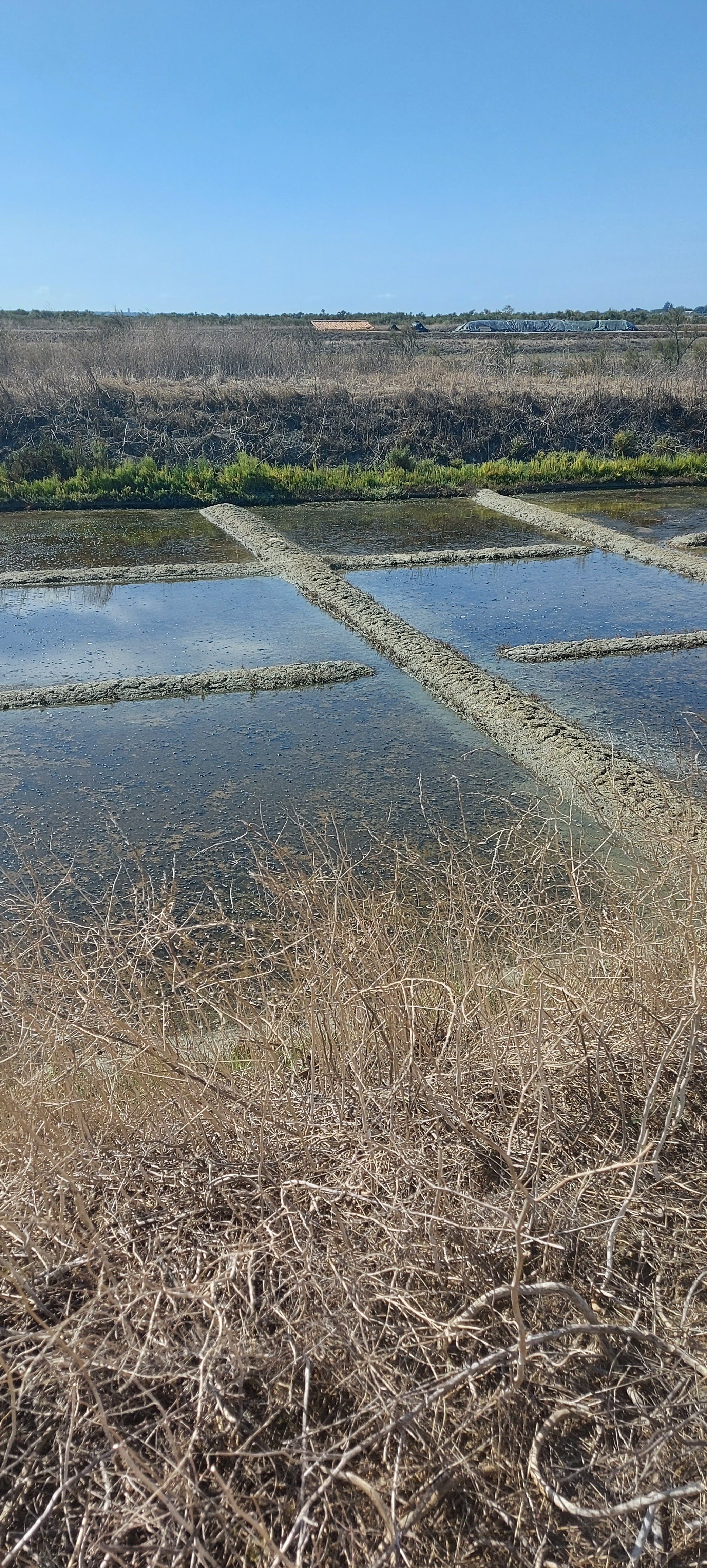Photo n° 18 de l'avis de S.O fait le 01/09/2022 à 15:43