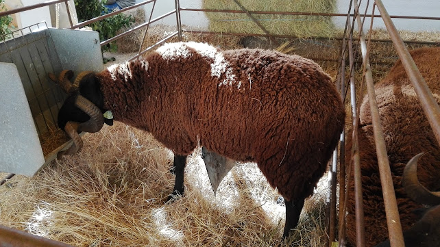Posto de Turismo - Agência de viagens
