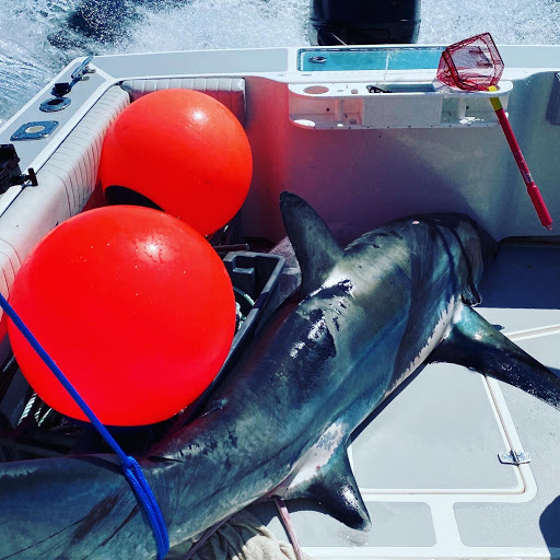 Seafood Restaurant «Chart House», reviews and photos, 644 Huron Ave, Atlantic City, NJ 08401, USA