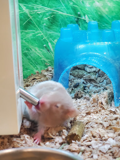 Pet Supply Store «PetSmart», reviews and photos, 351 N Frontage Rd, New London, CT 06320, USA