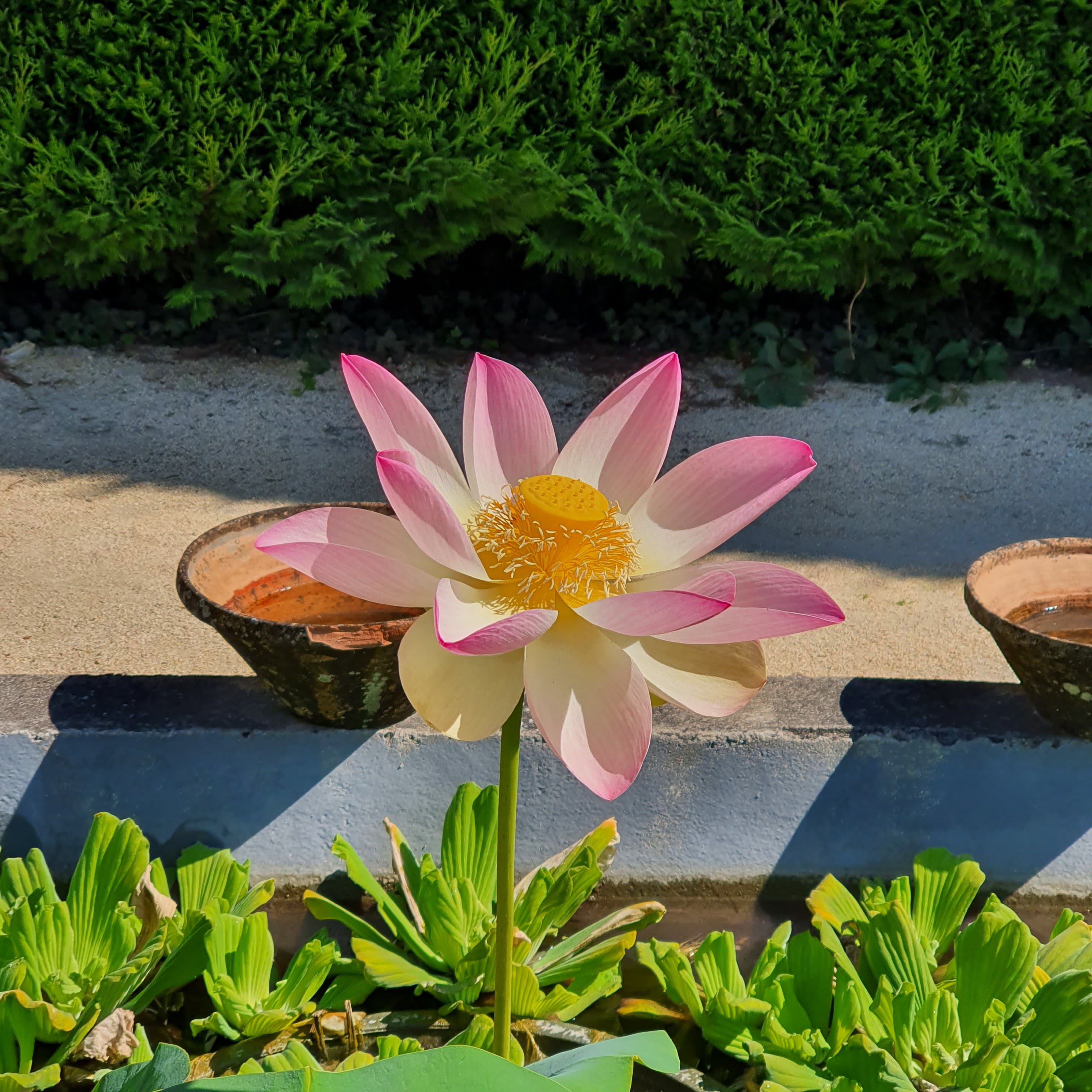 Photo n° 4 de l'avis de Guillaume. fait le 11/07/2021 à 10:11