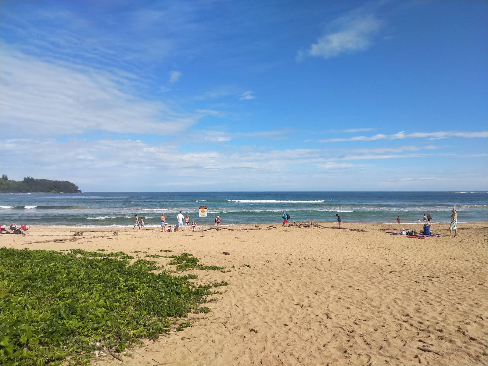 Foto von Hanalei Beach mit langer gerader strand
